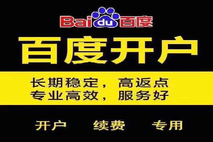 sem竞价托管代运营的五大经典案例